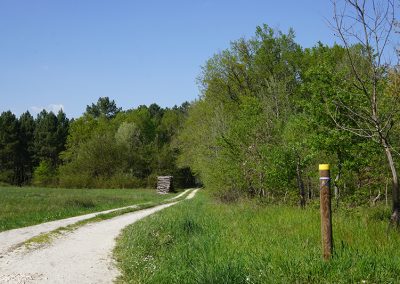 Commune de Bosset