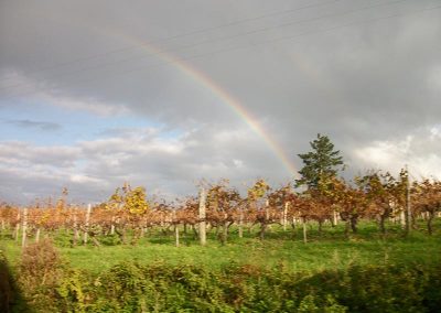 Commune de Rouffignac de Sigoulès