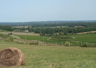 Commune de Colombier