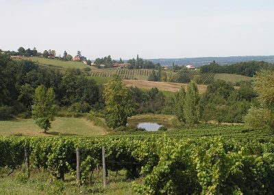Commune de Colombier