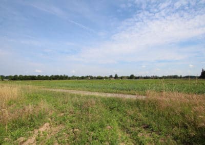 Ferme des nebouts - CAB - Prigonrieux (10)