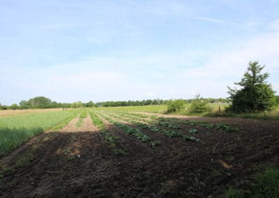 Ferme des nebouts - CAB - Prigonrieux (11)