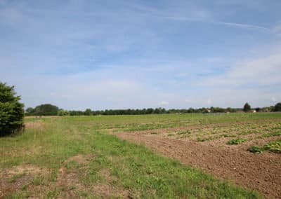 Ferme des nebouts - CAB - Prigonrieux (12)