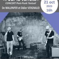 Concert «Pour la variété» : (Post-Punk Textuel) De WALLPAPER et Didier VERGNAUD