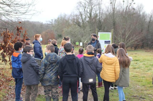 Plantation Ecole de Lembras