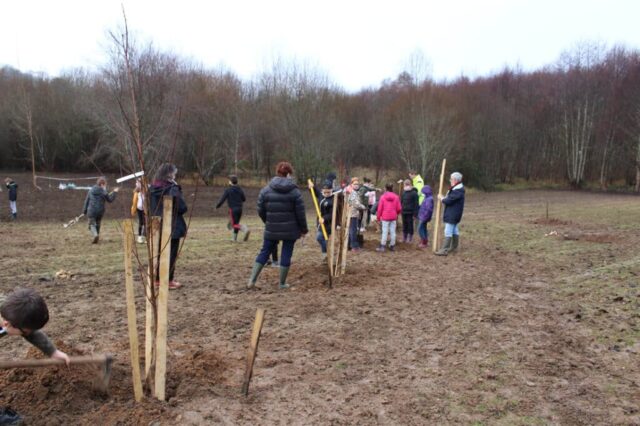 Plantation Ecole de Lembras