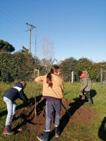 Plantation du verger à Prigonrieux