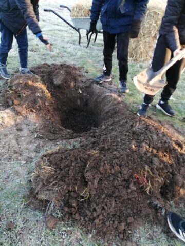 Plantation du verger à Prigonrieux