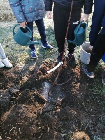Plantation du verger à Prigonrieux