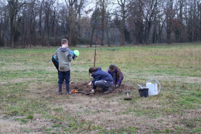Plantation du verger à Creysse