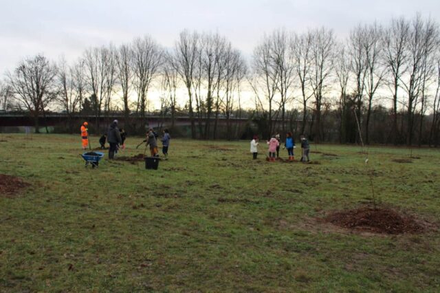 Plantation du verger à Creysse