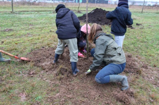 Plantation du verger à Creysse