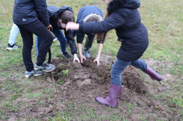 Plantation du verger à Creysse