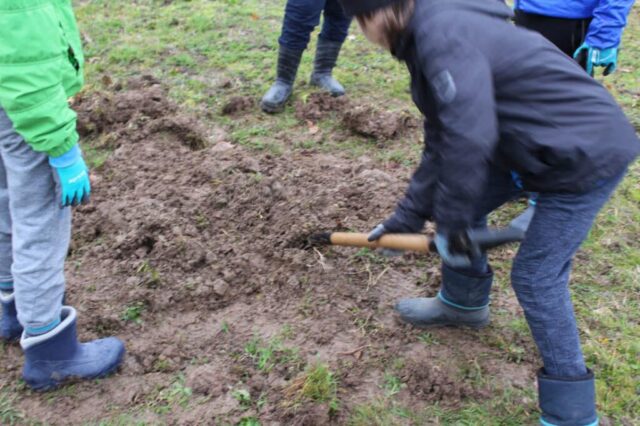 Plantation du verger à Creysse