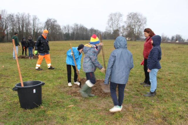 Plantation du verger à Creysse