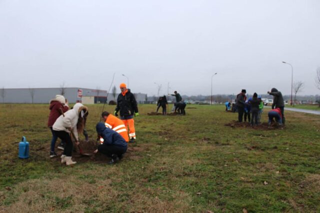 Plantation du verger à Creysse