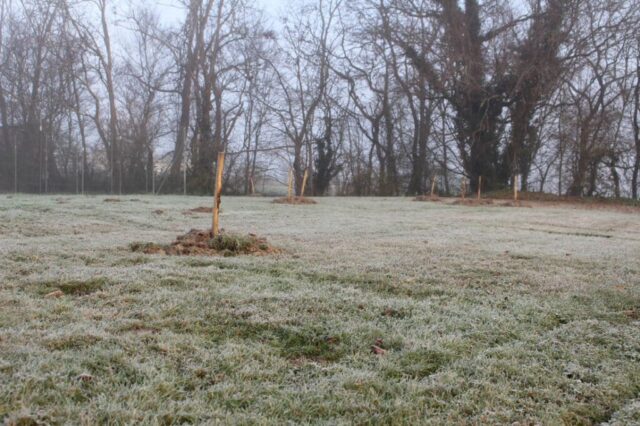 Plantatation à Lunas