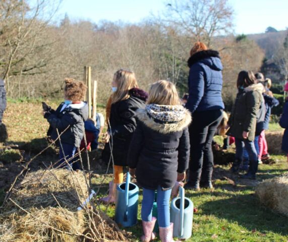Plantatation à Lunas