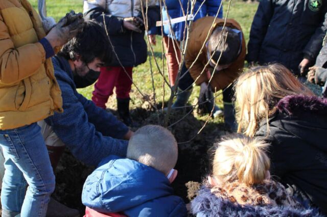 Plantatation à Lunas