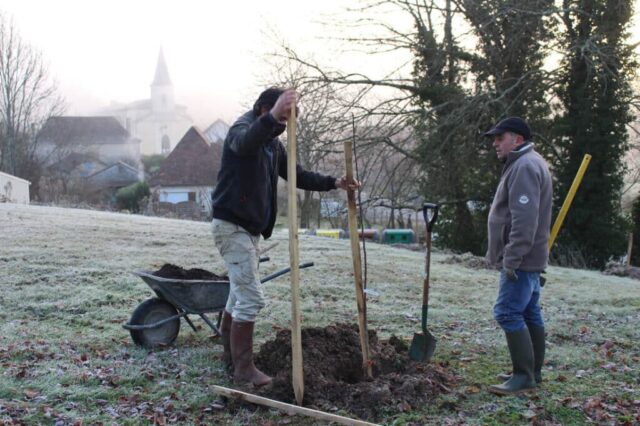 Plantatation à Lunas