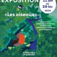 Exposition "Les oiseaux" à la bibliothèque de Creysse