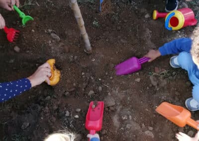 Plantation d’un pommier lors de la semaine de la fraternité