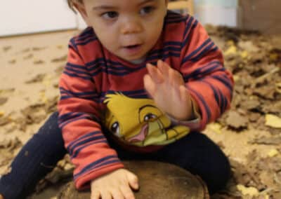 Crèche Bellegarde : Une pièce « nature » pleine de ressources à explorer !