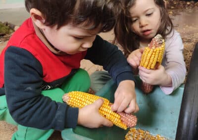 Crèche Bellegarde : Une pièce « nature » pleine de ressources à explorer !