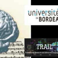 Des images et des sons : Ce que l’imagerie cérébrale montre du cerveau musicien - Auditorium – Espace François Mitterrand - Bergerac