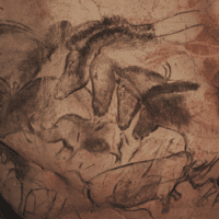 Célébrons les 30 ans de la découverte de la Grotte Chauvet à la micro Folie de la CAB