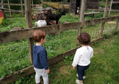 Ferme de Meynard La Force