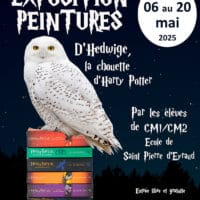 Expositions peintures : d’Hedwige, la chouette d’Harry Potter