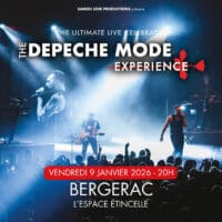 The Depeche Mode Experience