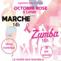 octobre rose lunas
