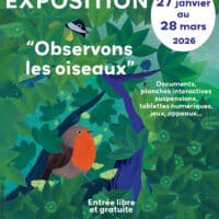 expo oiseaux sigoules 2026 copie 2