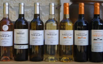 Visite et dégustation de 7 vins – 14h | Vignobles Alard