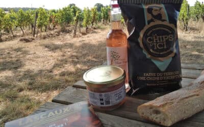 Pique-nique de la vigneronne | Château du Haut Pezaud