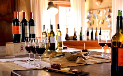 Dégustation accords mets et vin | Château Terre Vieille