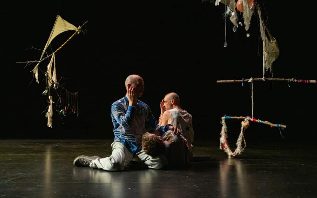 Variations on Tenderness – Festival [Trafik]*