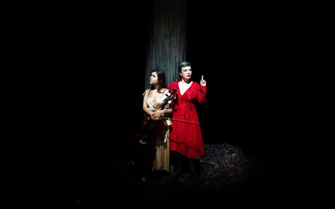 Birds on a wire : Dom La Nena & Rosemary Standley