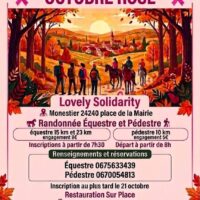 Affiche Octobre Rose 2026