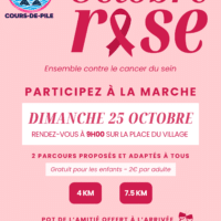 Affiche COM Octobre Rose 1